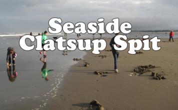 Seaside Clatsup Spit