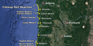Oregon Razor Clam Map
