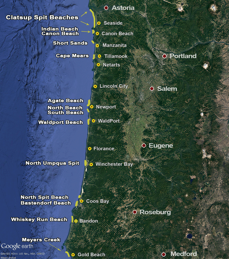 Oregon Bay Clam Map