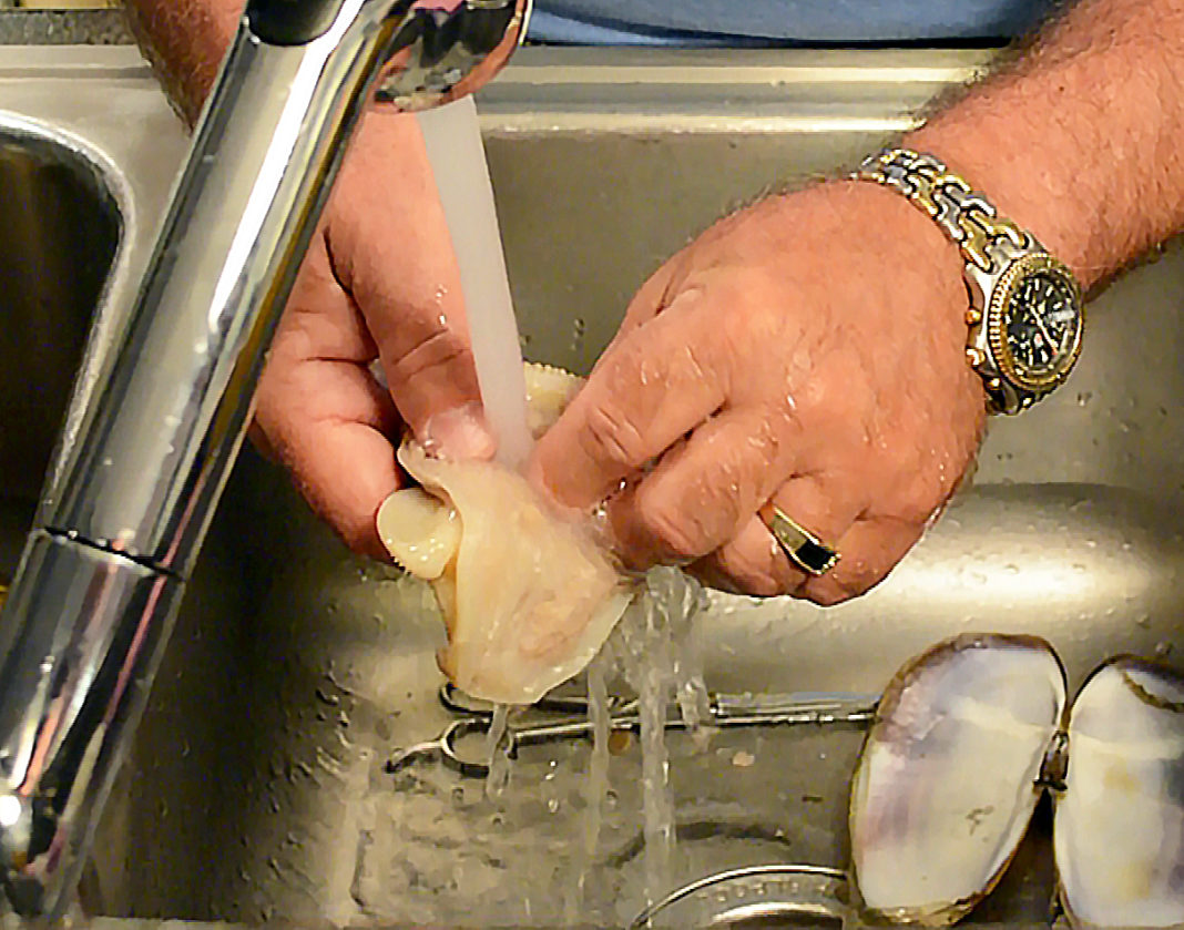 Cleaning Razor Clams - Professional Razor Clam Cleaning