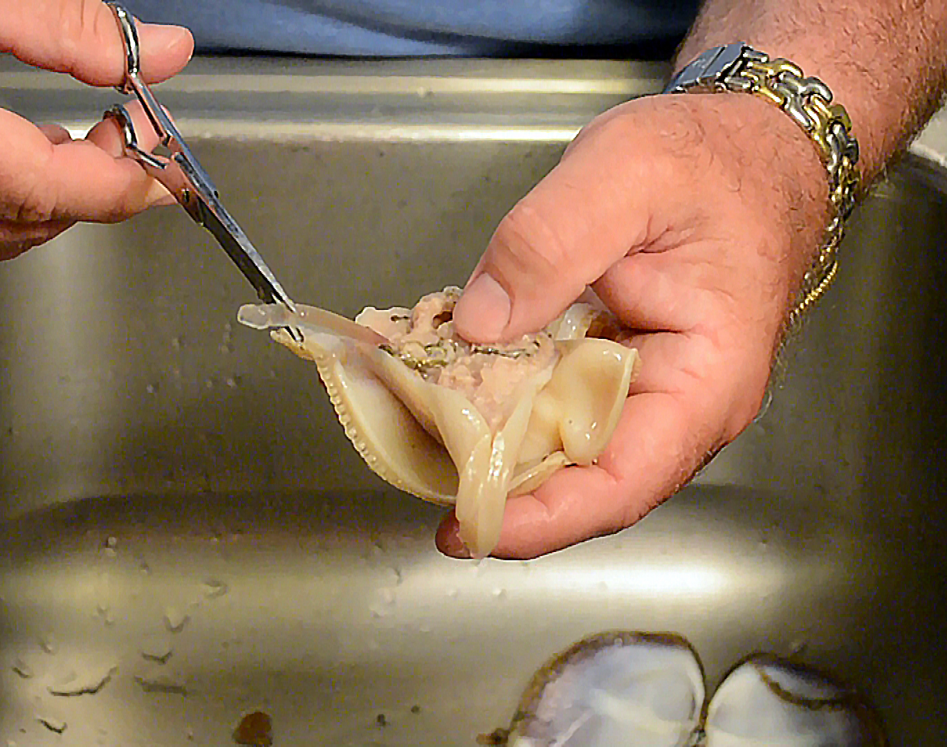 Cleaning Razor Clams - Professional Razor Clam Cleaning