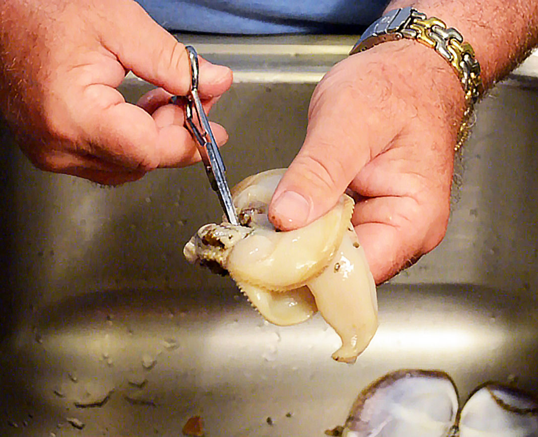 Cleaning Razor Clams - Professional Razor Clam Cleaning