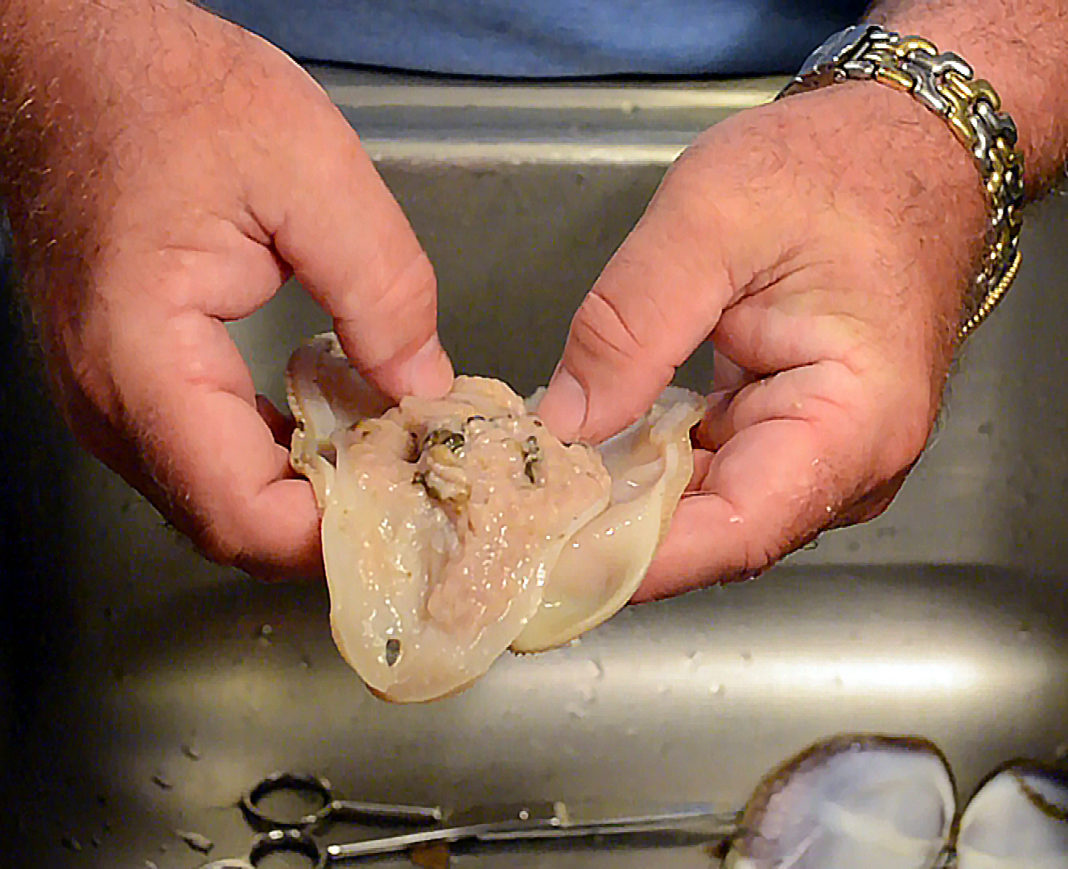 Cleaning Razor Clams - Professional Razor Clam Cleaning