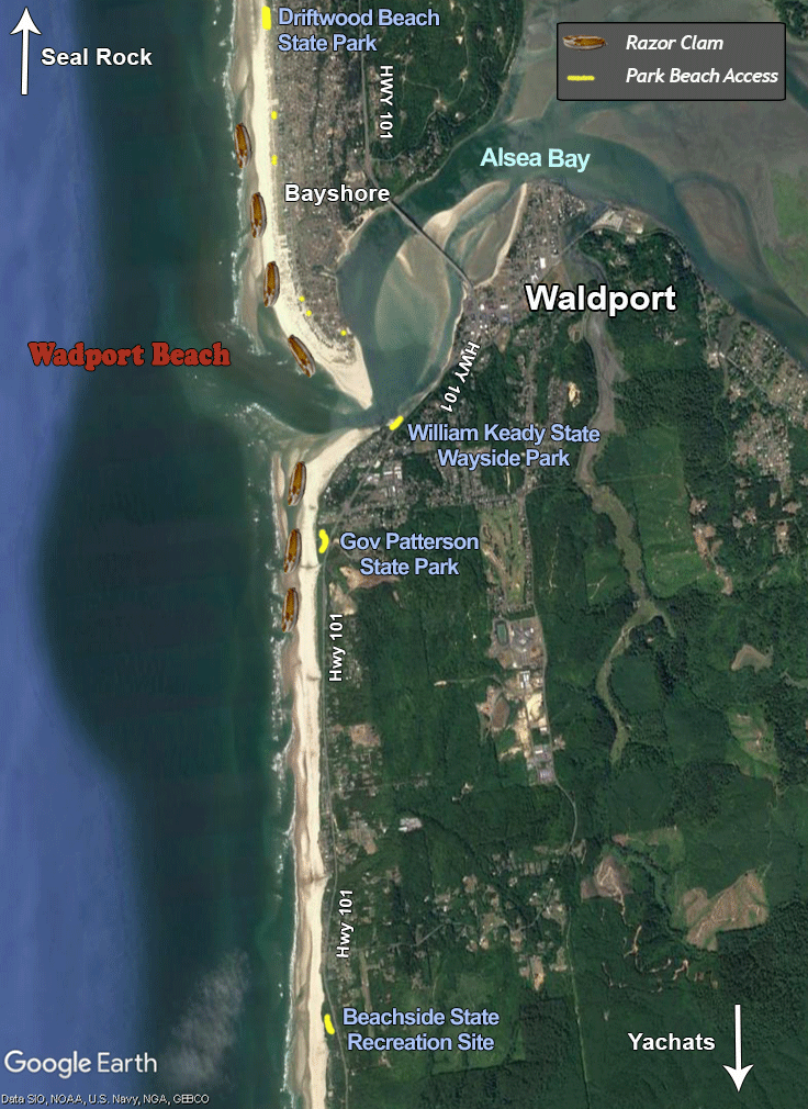 Waldport Beach Alsea Bay